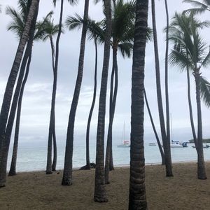 Meet your Posher, Kinnon